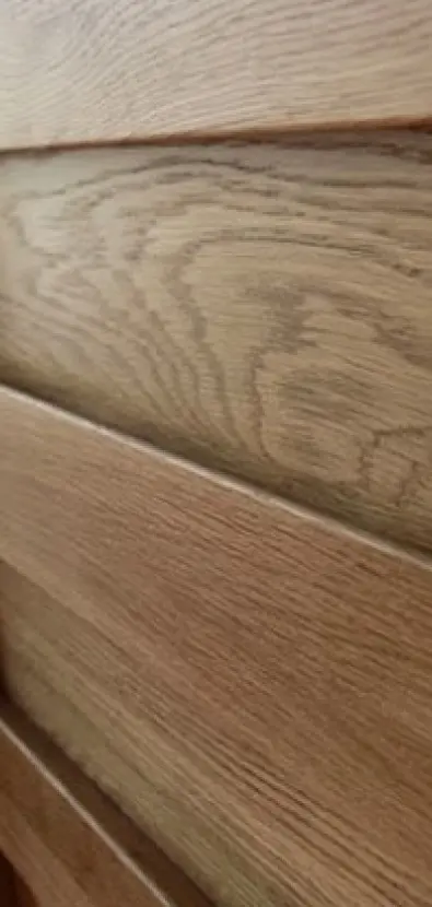 Лестницы из стекла маршевые